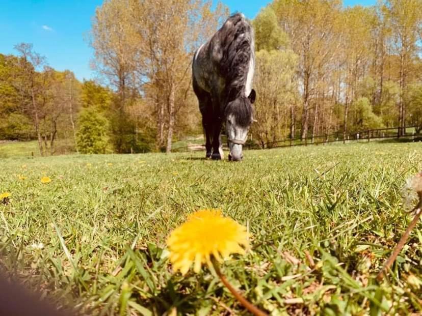 Faire Une Pause Avec Le Temps Thimister Bagian luar foto